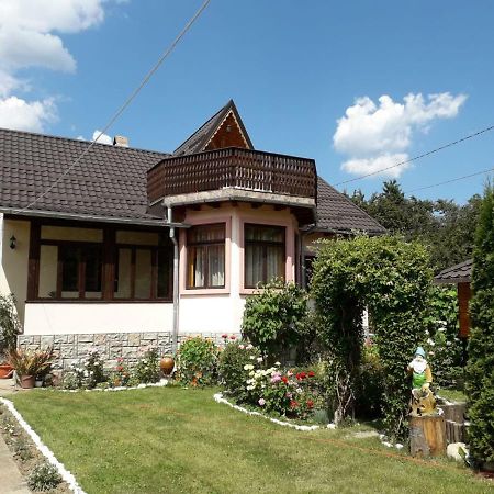 Casa Fetic Apartment Nehoiu Exterior photo