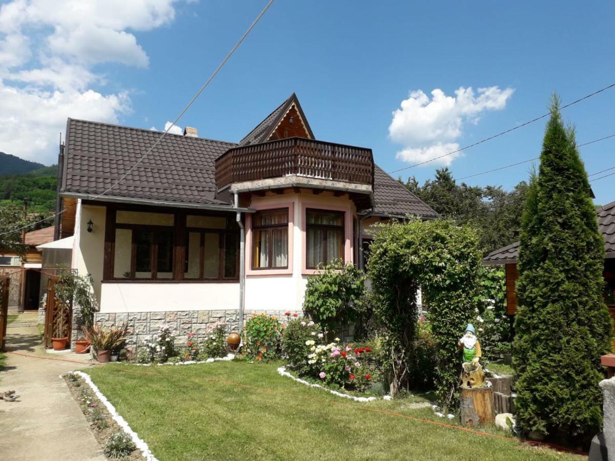 Casa Fetic Apartment Nehoiu Exterior photo