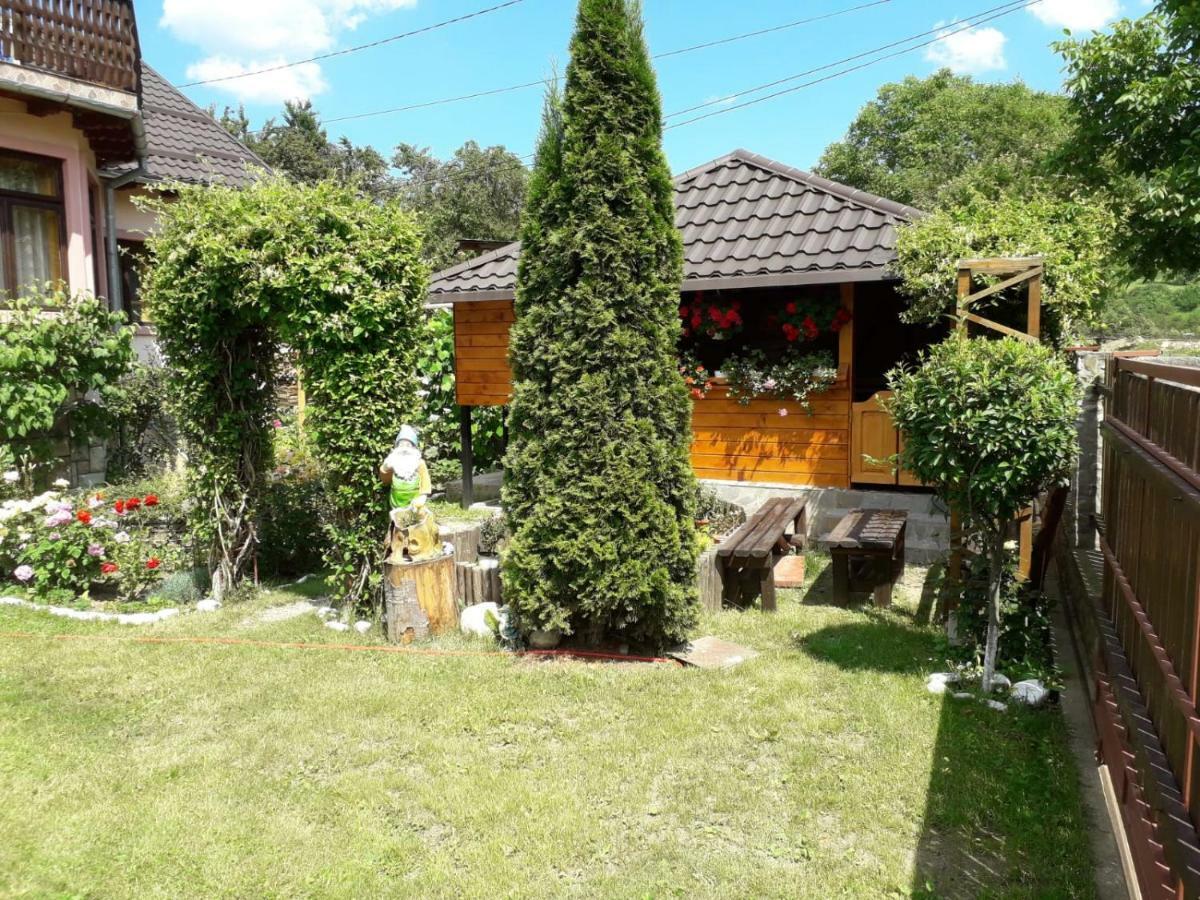 Casa Fetic Apartment Nehoiu Exterior photo