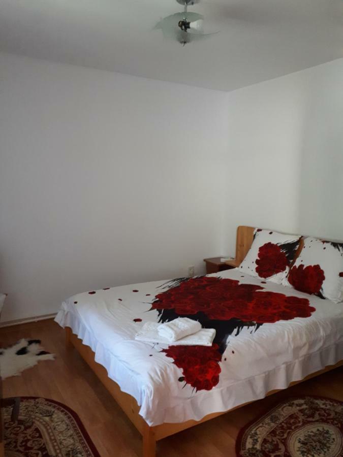 Casa Fetic Apartment Nehoiu Exterior photo